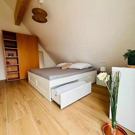 Marktplatz 14 Penthouse Apartmán Bad Buchau