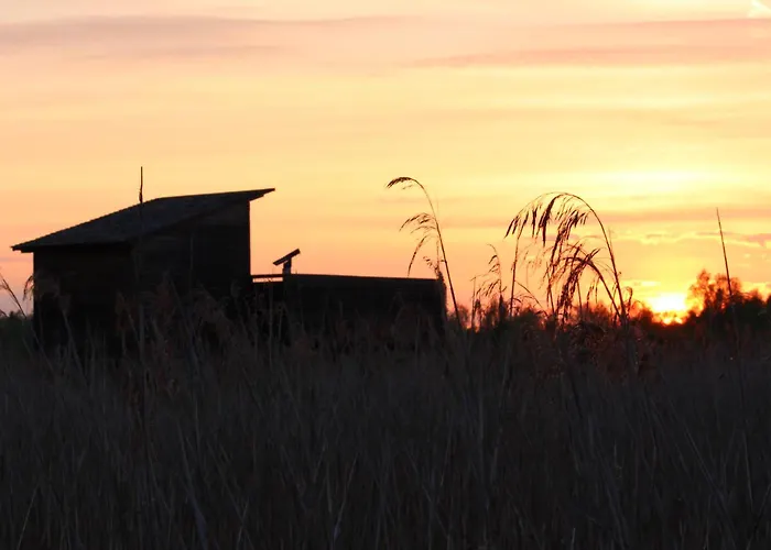 Marktplatz 14 Penthouse