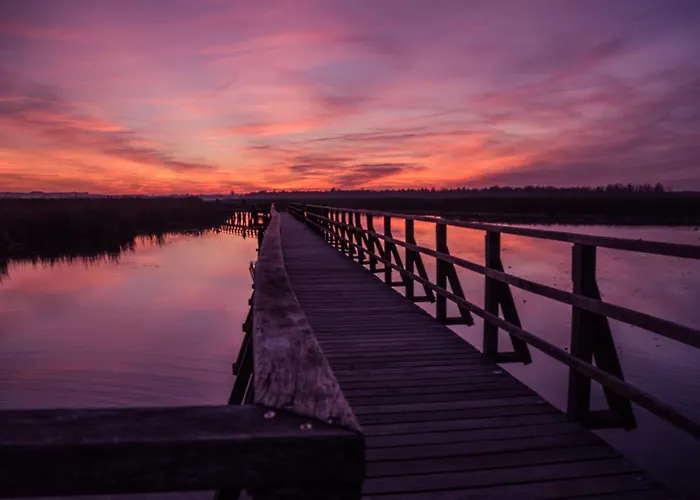 Apartamento Marktplatz 14 Penthouse Bad Buchau