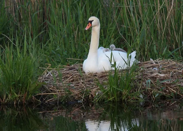 Marktplatz 14 Penthouse Apartamento Bad Buchau